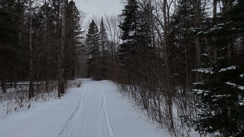 Tiny photo for 2497 Nester Grade Rd, Two Harbors, MN 55616 (MLS # 6123261)