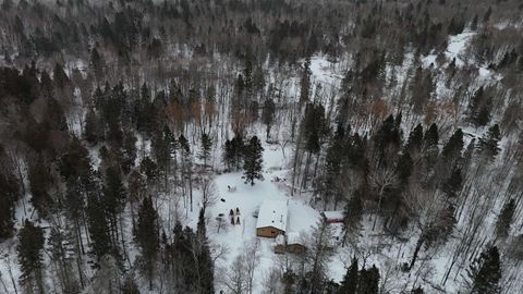 Tiny photo for 2497 Nester Grade Rd, Two Harbors, MN 55616 (MLS # 6123261)