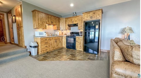 Tiny photo for 41 W Rosebush Ln, Grand Marais, MN 55604 (MLS # 6128202)