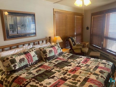 Tiny photo for 1590 Superior Shores #107, Two Harbors, MN 55616 (MLS # 6123829)