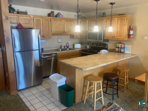 Tiny photo for 1590 Superior Shores #107, Two Harbors, MN 55616 (MLS # 6123829)