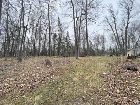 Tiny photo for 43848 Nature Ave, Palisade, MN 56469 (MLS # 6124957)