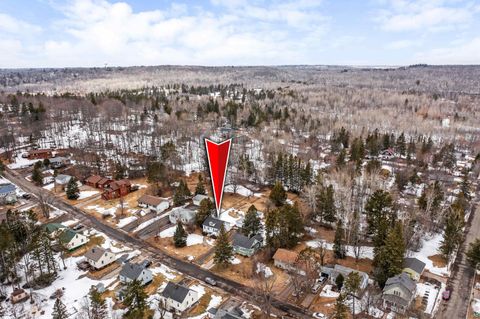 Tiny photo for 555 Park St, Duluth, MN 55803 (MLS # 6124282)