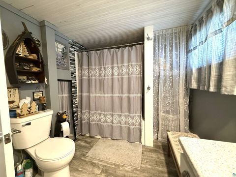 Tiny photo for 277 N 5th Ave, Ely, MN 55731 (MLS # 6124309)