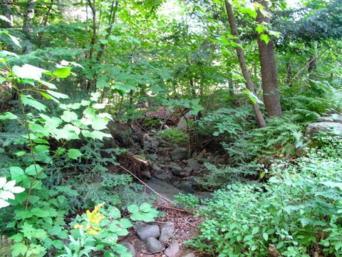 Tiny photo for 234 10th Ave W, Grand Marais, MN 55604 (MLS # 6127979)