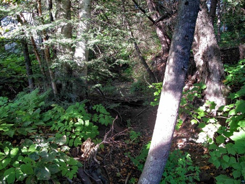 Tiny photo for 234 10th Ave W, Grand Marais, MN 55604 (MLS # 6127979)