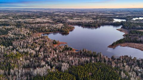 Tiny photo for TBD Arthur Lake, Babbitt, MN 55706 (MLS # 6123667)