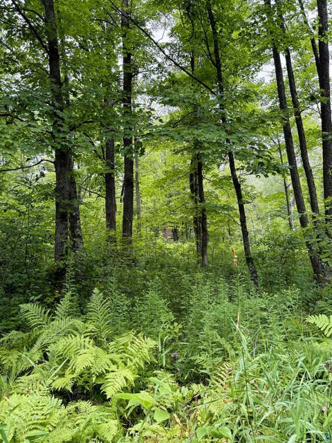 Tiny photo for 5080 Tower Rd, Moose Lake, MN 55767 (MLS # 6127252)