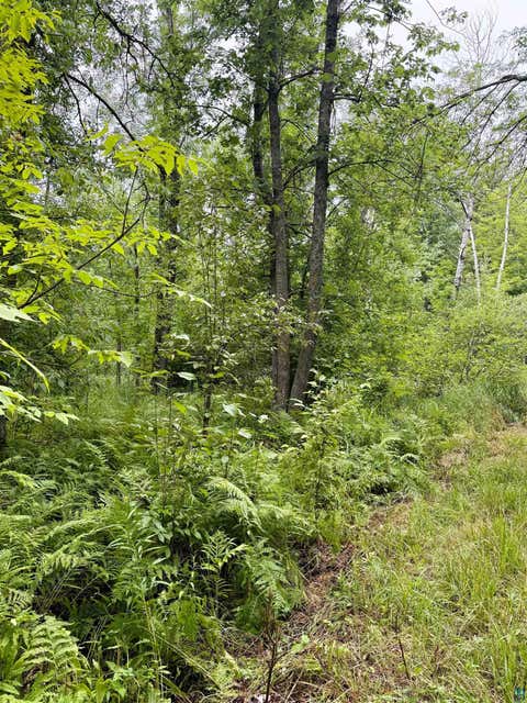 Tiny photo for 5080 Tower Rd, Moose Lake, MN 55767 (MLS # 6127252)
