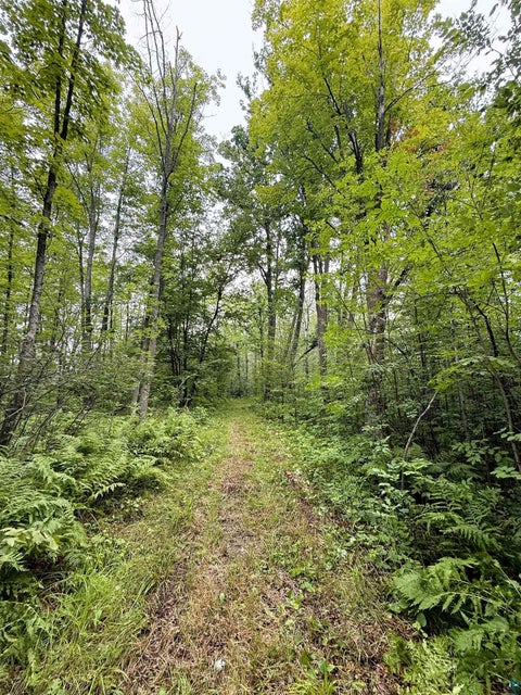 Tiny photo for 5080 Tower Rd, Moose Lake, MN 55767 (MLS # 6127252)