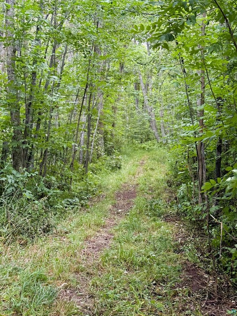 Tiny photo for 5080 Tower Rd, Moose Lake, MN 55767 (MLS # 6127252)