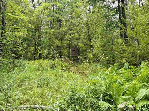 Tiny photo for 5080 Tower Rd, Moose Lake, MN 55767 (MLS # 6127252)