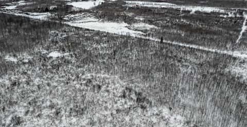 Tiny photo for 601 Brown Rd, Kettle River, MN 55757 (MLS # 6123003)