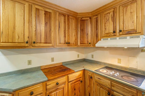 Tiny photo for 438 Buck View Rd, Ely, MN 55731 (MLS # 6128432)
