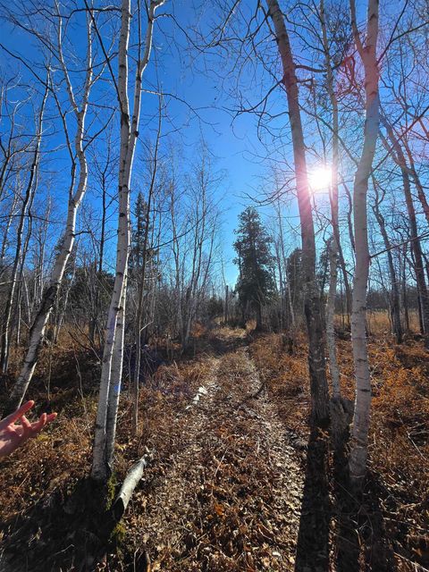 Tiny photo for 6669 Little Marais Trl, Silver Bay, MN 55614 (MLS # 6122918)