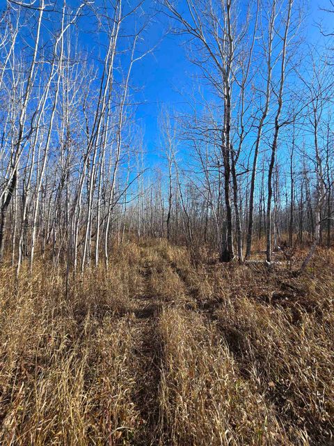 Tiny photo for 6669 Little Marais Trl, Silver Bay, MN 55614 (MLS # 6122918)