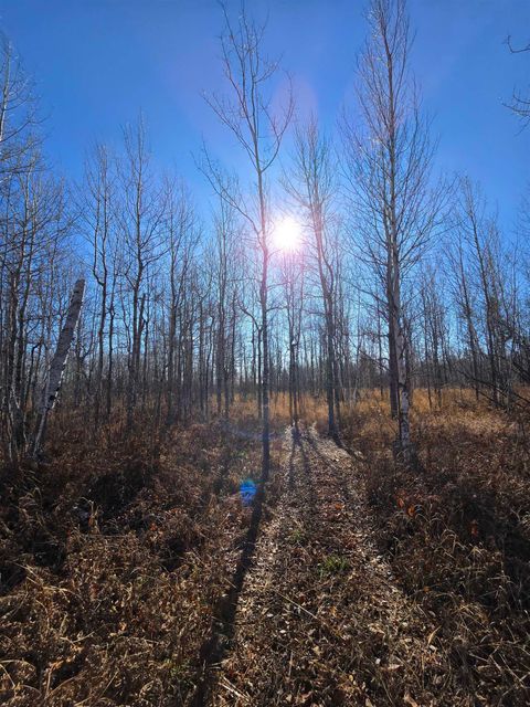 Tiny photo for 6669 Little Marais Trl, Silver Bay, MN 55614 (MLS # 6122918)