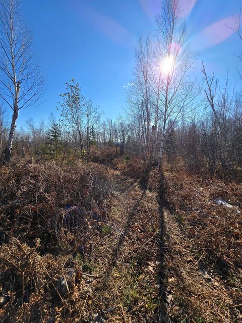 Tiny photo for 6669 Little Marais Trl, Silver Bay, MN 55614 (MLS # 6122918)