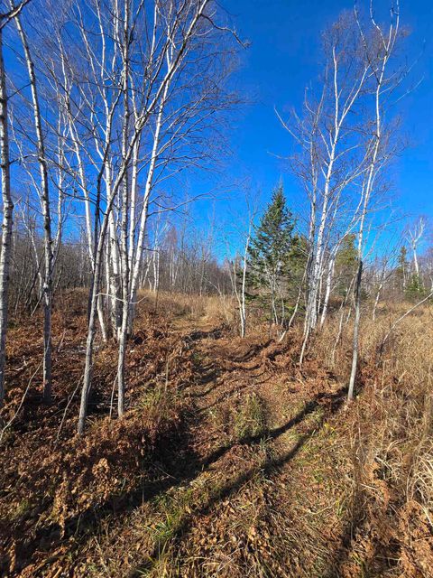 Tiny photo for 6669 Little Marais Trl, Silver Bay, MN 55614 (MLS # 6122918)