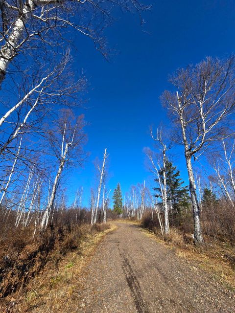 Tiny photo for 6669 Little Marais Trl, Silver Bay, MN 55614 (MLS # 6122918)