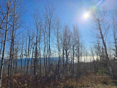 Tiny photo for 6669 Little Marais Trl, Silver Bay, MN 55614 (MLS # 6122918)