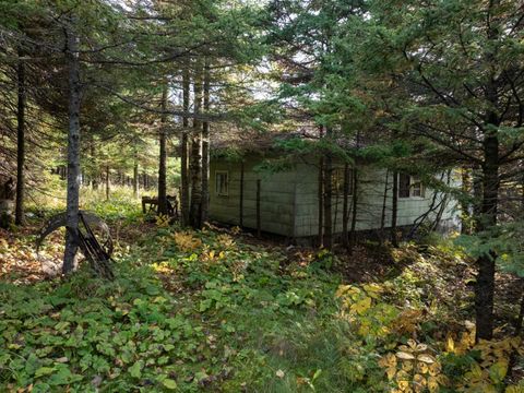 Tiny photo for 48 Hwy 61 N, Beaver Bay, MN 55601 (MLS # 6122324)