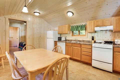 Tiny photo for 3784 Fenske Lake Rd, Ely, MN 55731 (MLS # 6125089)