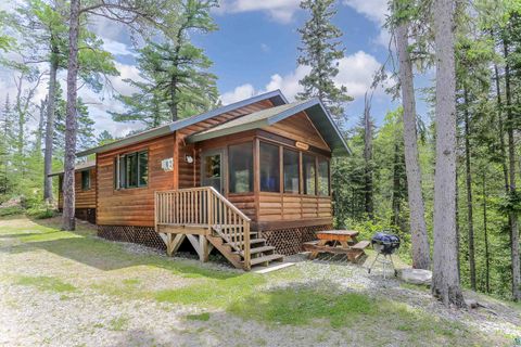 Photo of 3784 Fenske Lake Rd, Ely, MN 55731 (MLS # 6125089)