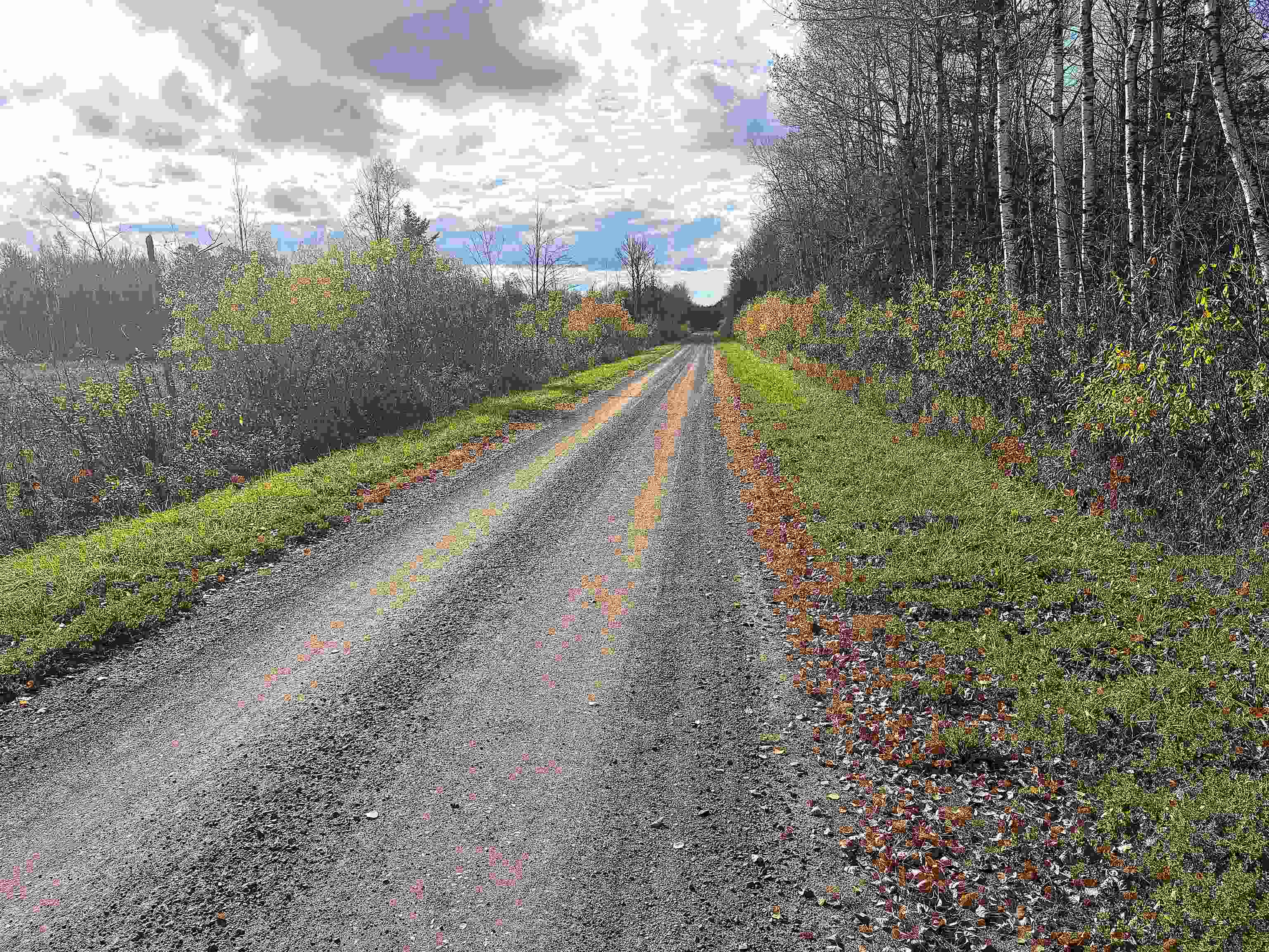 XXX Madigan Rd
