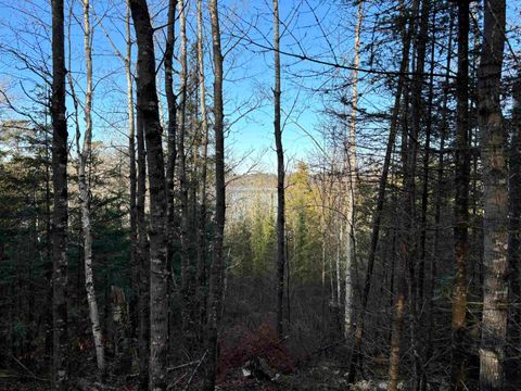 Tiny photo for 10 Powerhouse Trail, Ely, MN 55731 (MLS # 6123040)