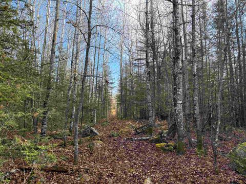 Tiny photo for 10 Powerhouse Trail, Ely, MN 55731 (MLS # 6123040)