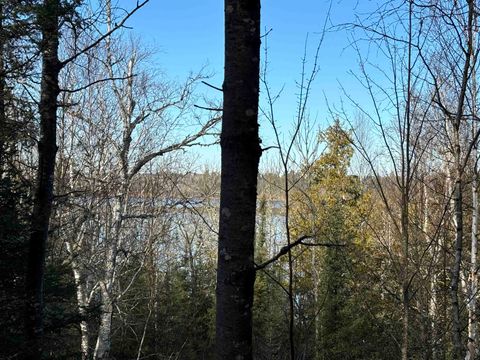 Tiny photo for 10 Powerhouse Trail, Ely, MN 55731 (MLS # 6123040)
