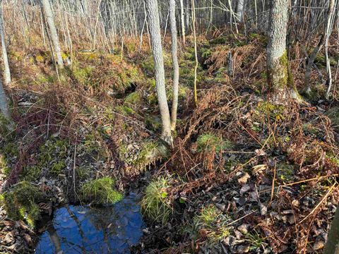 Tiny photo for 10 Powerhouse Trail, Ely, MN 55731 (MLS # 6123040)