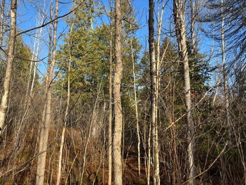 Tiny photo for 10 Powerhouse Trail, Ely, MN 55731 (MLS # 6123040)