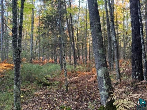 Tiny photo for XXX Brule River Rd, Brule, WI 54820 (MLS # 6128368)