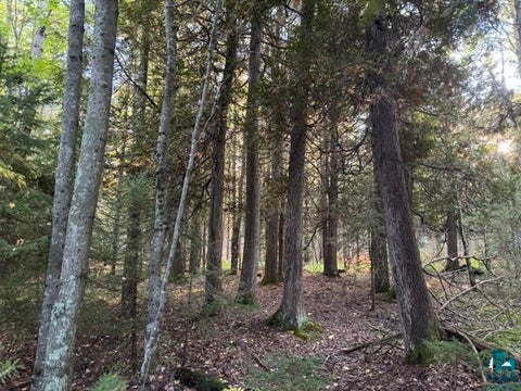 Tiny photo for XXX Brule River Rd, Brule, WI 54820 (MLS # 6128368)