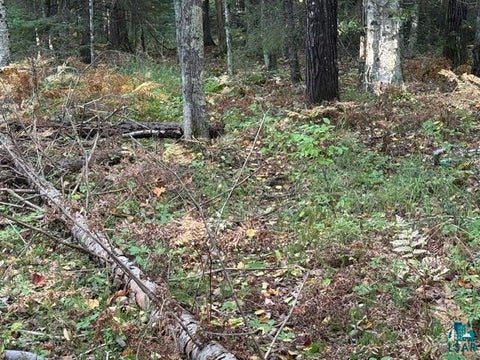 Tiny photo for XXX Brule River Rd, Brule, WI 54820 (MLS # 6128368)