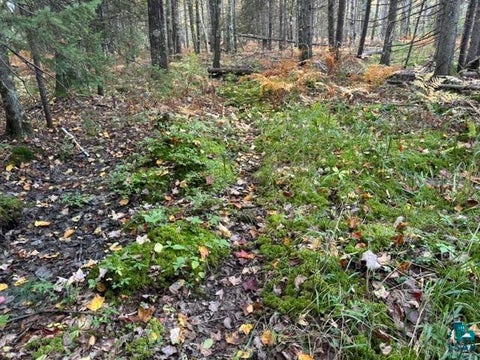 Tiny photo for XXX Brule River Rd, Brule, WI 54820 (MLS # 6128368)