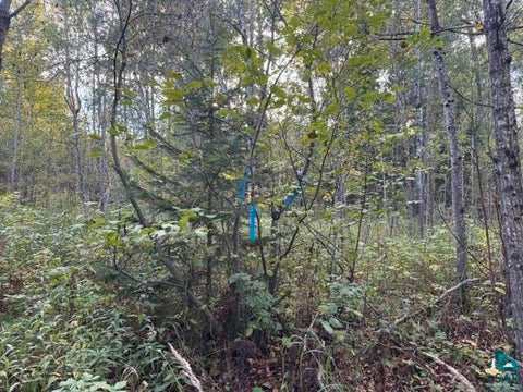 Tiny photo for XXX Brule River Rd, Brule, WI 54820 (MLS # 6128368)
