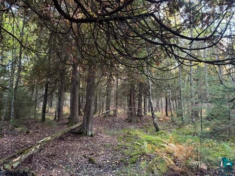 Tiny photo for XXX Brule River Rd, Brule, WI 54820 (MLS # 6128368)