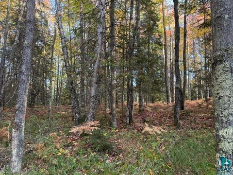 Photo of XXX Brule River Rd, Brule, WI 54820 (MLS # 6128368)