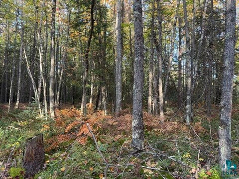 Tiny photo for XXX Brule River Rd, Brule, WI 54820 (MLS # 6128368)