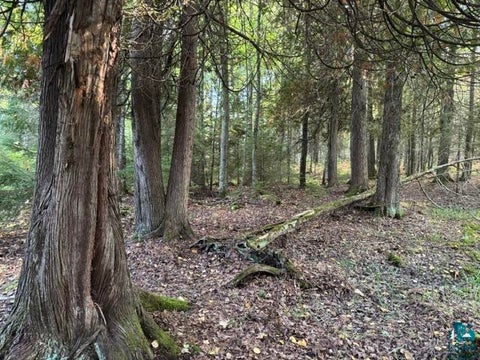 Tiny photo for XXX Brule River Rd, Brule, WI 54820 (MLS # 6128368)