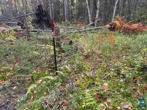 Tiny photo for XXX Brule River Rd, Brule, WI 54820 (MLS # 6128368)