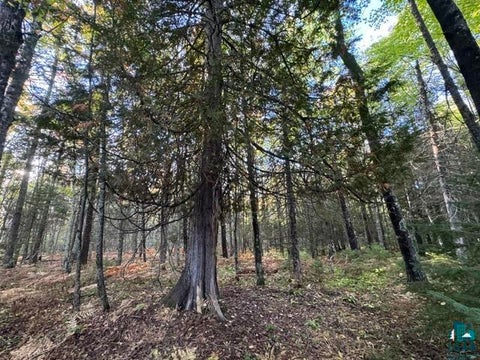 Tiny photo for XXX Brule River Rd, Brule, WI 54820 (MLS # 6128368)