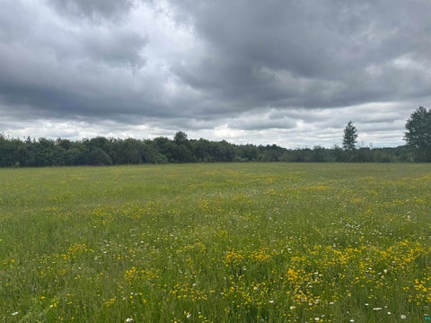 Tiny photo for TBD Townline Rd, Forbes, MN 55738 (MLS # 6126516)