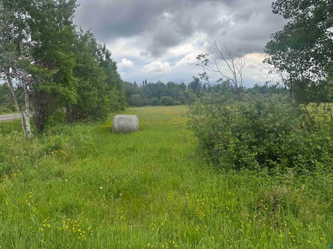 Tiny photo for TBD Townline Rd, Forbes, MN 55738 (MLS # 6126516)