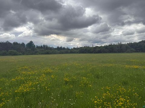 Tiny photo for TBD Townline Rd, Forbes, MN 55738 (MLS # 6126516)