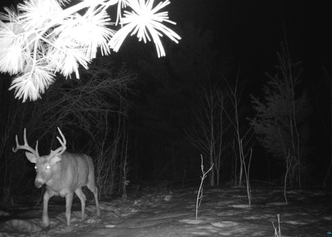 Tiny photo for 91 W Old County Hwy K, Bayfield, WI 54814 (MLS # 6128216)
