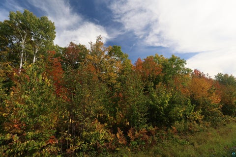 Tiny photo for 91 W Old County Hwy K, Bayfield, WI 54814 (MLS # 6128216)